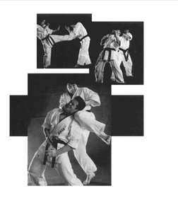 Sabaki Method - Karate in The Inner Circle | PDF