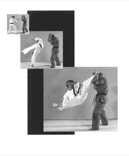 Sabaki Method - Karate in The Inner Circle | PDF