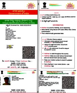 Aadhaar Card Information for Praveen | PDF | Identity Document ...