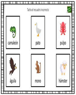 Tacha el recuadro incorrecto
camaleón
pato
pulpo
águila
mono
hámster