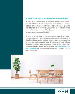 Se basa en la compraventa de materias primas como activos. 
Cuando hablamos de materias primas relacionadas con el mer-
cado