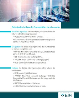 Metales: las bolsas más importantes sobre futuros de 
metales son:
• LME, London Metal Exchange.
• NYMEX, New York Mercantil