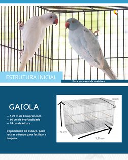 Para um casal de matrizes
Para um casal de matrizes
— 1,20 m de Comprimento 
— 60 cm de Profundidade  
— 74 cm de Altura 
Dep