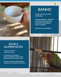 1 pote com cerca de 15cm 
de diâmetro.
É possível adaptar o tamanho, 
mas lembre-se de priorizar
materiais de fácil higiene,