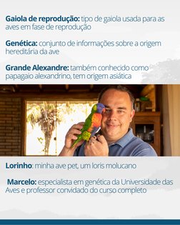 Gaiola de reprodução: tipo de gaiola usada para as
aves em fase de reprodução
Genética: conjunto de informações sobre a orige