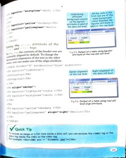 <TD b g c o l  
Lrolor="mistYrose"> Delhi </TD>> 
Cells having 
different 
background colours 
as the bgcolor 
attribute is u