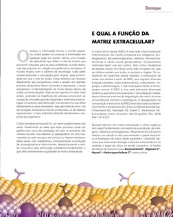 7
Destaque
O 
acesso a informação tornou o mundo peque-
no, todos podem se conectar a informação em 
qualquer lugar do mundo.