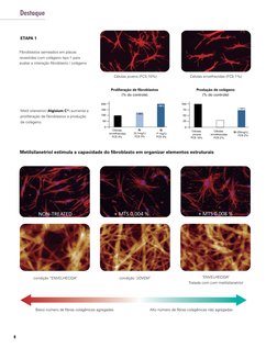 Produção de colágeno
(% do controle)
Células 
jovens
FCS 10%
Células 
envelhecidas
FCS 2%
Si (25mg/L)
FCS 2%
100
75
50
25
0
+