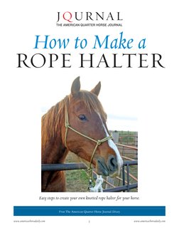Easy steps to create your own knotted rope halter for your horse.
From The American Quarter Horse Journal library
www.america