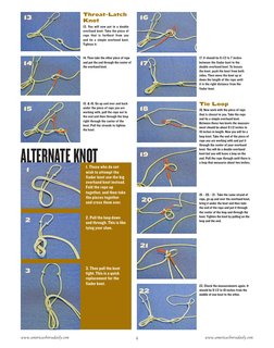 www.americashorsedaily.com
4
www.americashorsedaily.com
ALTERNATEKNOT
1. Those who do not
wish to attempt the
fiador knot use