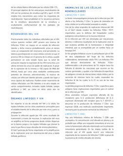La lesión inmunopatógena primaria de la infección por VIH
afecta a los linfocitos T CD4+; la gama de anomalías en
estas célul