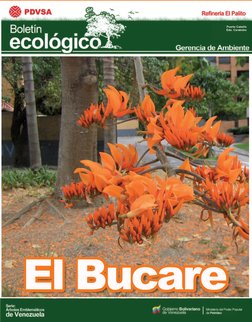 Puerto Cabello
Edo. Carabobo
El Bucare
