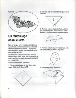 Actividad
Un murciélago
en mi cuarto
Para ser amigos de los murciélagos tendríamos
que empezar por tenerlos más cerca. Pero n