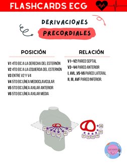 DERIVACIONES
PRECORDIALES
FLASHCARDS ECG
FLASHCARDS ECG
posición
relación
V1–V2 Pared septal 
V3–V4 Pared anterior 
I, aVL ,V