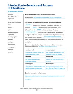 Science Notebook Answer Key Mendelian Genetics | PDF | Genotype ...