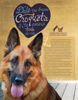 os perros son parte importante de nues-
tra vida y dependen de los amos. Bajo 
esa consigna, su alimentación también. 
Desde