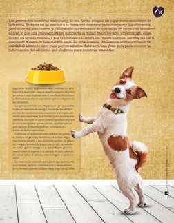 | REVISTA DEL CONSUMIDOR | ENERO 2016  
41
Los perros son nuestras mascotas y de esa forma ocupan un lugar como miembros de