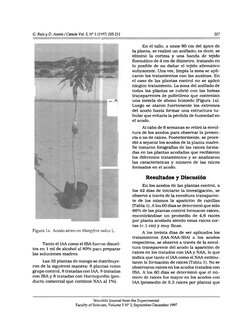 G. Ruiz y D. 
Acosta /Cien& Vol. 5, N" 3 (1997) 205-211 
207 
En el tallo, a unos 90 cm del ápice de 
la planta. se realizó u
