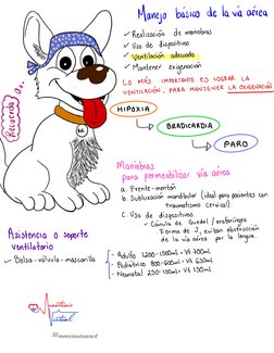 #monisneuroanest
Manejo
básico
de la vía aérea
✓Realización
de maniobras
✓Uso
de
dispositivos
✓Ventilación
adecuada
✓Mantener