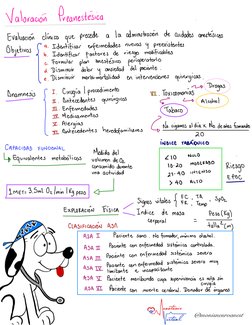 @monisneuroanest
Valoraciones
.
Evaluación
clínica
que precede
a
la
administración
de
cuidados
anestésicos
Objetivos
a. Ident