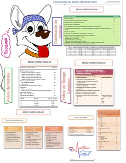 @monisneuroanest
¡
°
t
l
l
