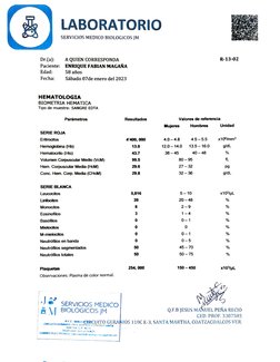 LABORATORIO 
SERVICIOS MEDICO BIOLOGICOSs ]M 
Dr.(a): 
R-13-02 
A QUIEN CORRESPONDA 
ENRIQUE FABIAN MAGAÑA 
Paciente: 
Edad: