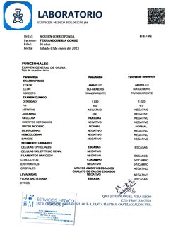 LABORATORIO 
SERVICIOSs MEDICO BIOLOGICOS IM 
Dr(a): 
A QUIEN CORRESPONDA 
R-13-02 
Paciente: 
FERNANDO FERIA GOMEZ 
Edad: 
3