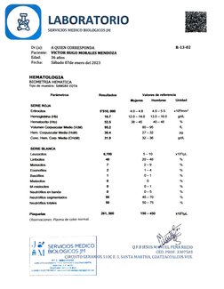 LABORATORIO 
SERVICIOS MEDICO B1OLOGICOS JM 
R-13-02 
A QUIEN CORRESPONDA 
Paciente: VICTOR HUGO MORALES MENDOZA 
Dr.(a): 
Ed