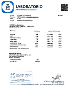 LABORATORIO 
SERVICIOS MEDICO BIOLOGICOs JM 
Dr.(a): 
A QUIEN CORRESPONDA 
Paciente: 
VICTOR HUGO MORALES MENDOZA 
R-13-02 
E