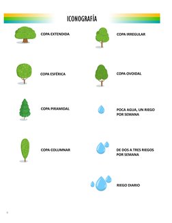 COPA EXTENDIDA
COPA ESFÉRICA
COPA PIRAMIDAL
COPA COLUMNAR
COPA IRREGULAR 
COPA OVOIDAL
POCA AGUA, UN RIEGO 
POR SEMANA
DE DOS