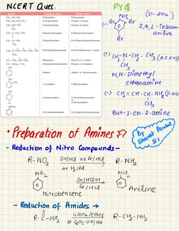 Class 12 Chemistry: Amines Notes | PDF | Amine | Physical Sciences