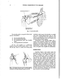 Hoppenfeld - Physical Examination of The Spine and Extremities | PDF