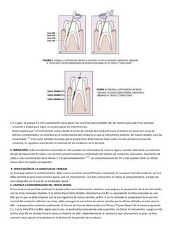 2.3. Luego, se avanza 2-3 mm nuevamente hacia apical con una fresa Gates-Glidden #2, de maner