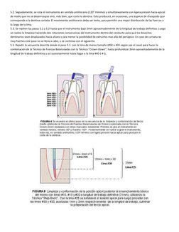 5.2. Seguidamente, se rota el instrumento en sentido antihorario (120° mínimo) y simultáneamente con ligera presión hacia api