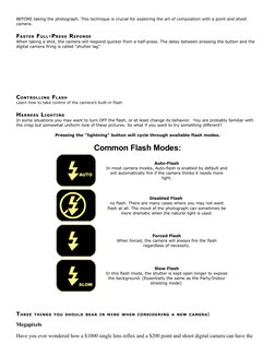 BEFORE taking the photograph. This technique is crucial for exploring the art of composition with a point and shoot 
camera.