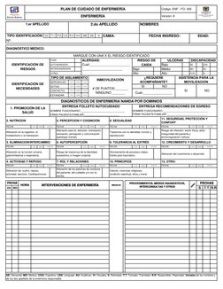 Formato de Plan de Cuidados de Enfermería | PDF | Enfermería ...