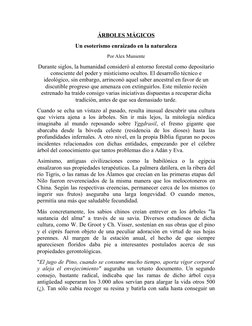 ÁRBOLES MÁGICOS
Un esoterismo enraizado en la naturaleza
Por Alex Muniente
Durante siglos, la humanidad consideró al entorno
