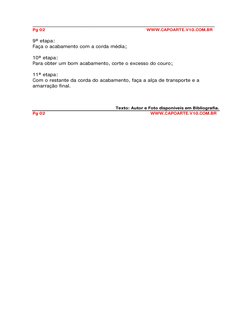 ______________________________________________________________________ 
Pg 02