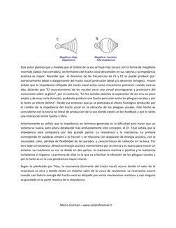 Marco Guzman – www.vozprofesional.cl