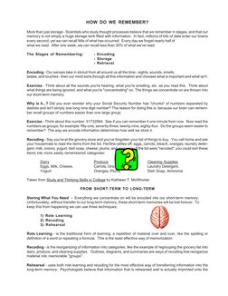 Effective Memory Strategies Explained | PDF | Memory | Recall (Memory)