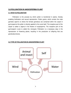 6 
 
3.0 POLLINATION IN ANGIOSPERMA PLANT 
3.1 WHAT IS POLLINATION 
Pollination is the process by which pollen is transferred
