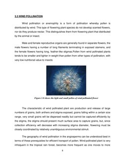 8 
 
3.3 WIND POLLINATION 
Wind pollination or anemophily is a form of pollination whereby pollen is 
distributed by wind. Th