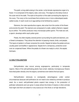 12 
 
The pistil, a long stalk arising in the center, is the female reproductive organ of a 
flower. It is composed of the st