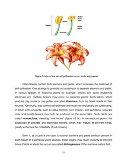 13 
 
 
 
 
Often flowers contain both stamens and pistils, which increases the likelihood of 
self-pollination. One strategy