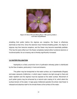 14 
 
 
 
 
 
shedding their pollen  (http://en.wikipedia.org/wiki/Pollen)before the stigmas are receptive, the flower is eff