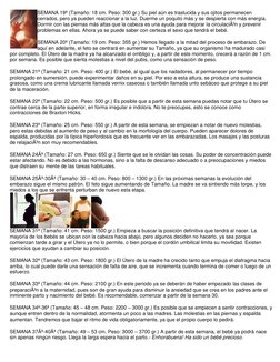 SEMANA 19ª (Tamaño: 18 cm. Peso: 300 gr.) Su piel aún es traslucida y sus ojitos permanecen 
cerrados, pero ya pueden reaccio