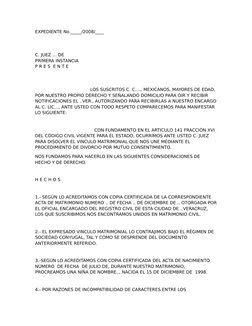 EXPEDIENTE No._____/2008/____
C. JUEZ … DE
PRIMERA INSTANCIA
P R E S  E N T E
                                        LOS SUS