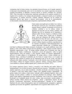 vestimentas dan la forma externa, nos permiten desenvolvermos en el mundo material y 
evolucionar conscientemente, pero a la