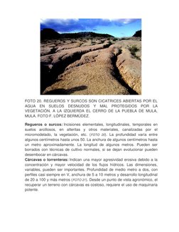 (http://www.atlasdemurcia.com/contenido/Capitulo II/Los paisajes geomorfologicos_Dir/Los paisajes geomorfologicos_Picture21.