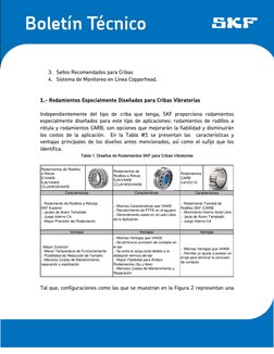 3. Sellos Recomendados para Cribas 
4. Sistema de Monitoreo en Línea Copperhead. 
 
 
1.- Rodamientos Especialmente Diseñ